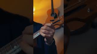 Blarney Pilgrim on mandolin  irishtrad irishtraditionalmusic irishmusic jig irishmandolin [upl. by Odele985]