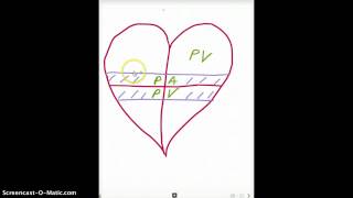 Easy Ways to Remember Heart Embryology derivatives [upl. by Rednirah]