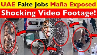 UAEs FAKE JOB MAFIA EXPOSED Unseen Video Footage Of UAE Scammers Cybercrime Crackdown Video 7625 [upl. by Aniuqahs]