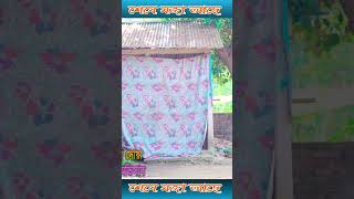 249newbanglanatok2024 funny comedy shortvideo [upl. by Adnohsad]