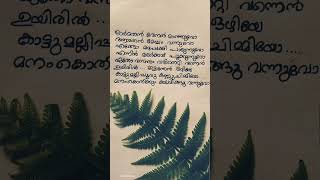 Ormathan venal 💚chilum chilum shorts status song lyrics lyricvideo Aadupuliyattammusic love 🌸 [upl. by Anayd]