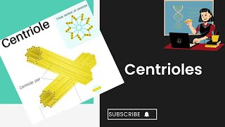 Centrioles l cell structure and function l XI biology [upl. by Wurster59]