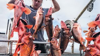 Most Satisfying longline fishing Catch Many Fish That live on The Sea  Automatic longline fishing [upl. by Townie]