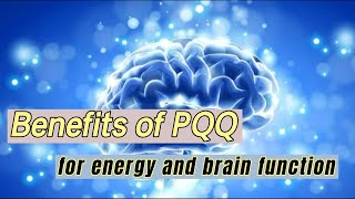 Benefits of PQQ for energy and brain function  Pyrroloquinoline Quinone Disodium Salt factory [upl. by Nitsruk]