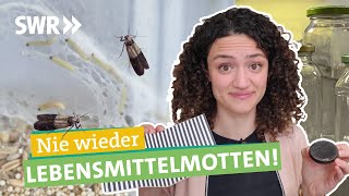 In fünf Schritten erfolgreich Lebensmittelmotten bekämpfen I Ökochecker SWR [upl. by Manya]