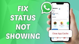 How to Fix Status Not Showing on WhatsApp [upl. by Cynthla]