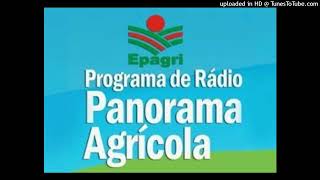 20 de novembro – Confira programação do Congresso Brasileiro de Homeopatia na Agricultura e Am 2024 [upl. by Mishaan545]