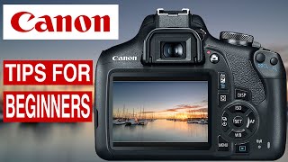 CANON CAMERA AND PHOTOGRAPHY TIPS  USING LIVE VIEW for beginners [upl. by Joiner]