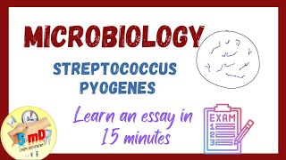 STREPTOCOCCUS PYOGENES  Microbiology  2nd Year MBBSBDS easy lecture [upl. by Bigod897]