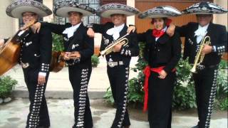 Mariachi Nuevo Jalisco  Cielito Lindo [upl. by Aiem]