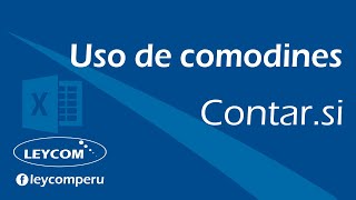 Comodines en Excel y la Función Contarsi [upl. by Lamek]