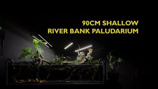 90cm shallow river bank paludarium [upl. by Kehoe]