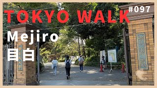 097 目白 Tokyo Walk Mejiro Oct 2024 [upl. by Dalt]