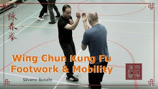 Wing Chun Footwork amp Mobility Rotterdam Alphen aan den Rijn Delft Waddinxveen [upl. by Studnia195]