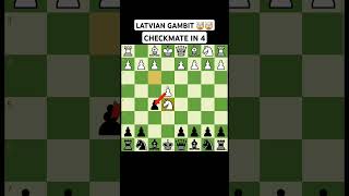 LATVIAN GAMBIT 🤯🤯 chess shorts [upl. by Attoynek592]