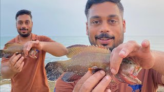 UAE FUJAIRAH DIBBA FISHING🎣 HAMOOR [upl. by Kenzie]