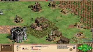 Aoe2 Regicide 3v3 Black Forest Strategy Tips [upl. by Teteak392]