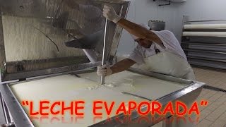 LA LECHE EVAPORADA  ProcesosProductivos [upl. by Fenton]