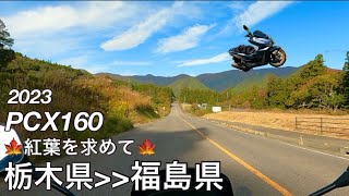 【PCX160】ツーリング日記 113 [upl. by Aisset720]