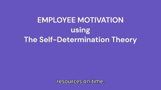 Employee Motivation and the Self Determination Theory [upl. by Eillib]