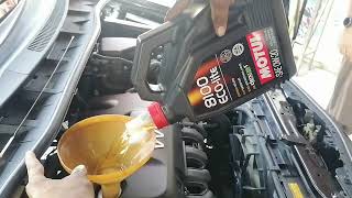 Motul 0w20 Eco Lite 8100 motul motuloil Motul MOTULAtv oil [upl. by Einahpets300]