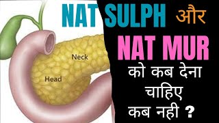 Natrum Sulphuricum Vs Natrum Muriaticum  How Differenciate [upl. by Ahsym]