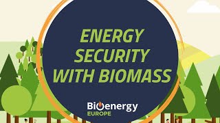 Energy Security  Bioenergy Explained [upl. by Hillell368]