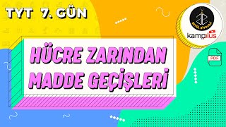 7 Hücre Zarından Madde Geçişleri Konu Anlatımı  9 Sınıf Biyoloji  YKS 2023  TYT Biyoloji 7 Gün [upl. by Anitrebla]