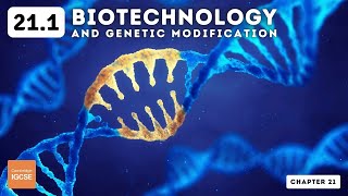 IGCSE Biology  Biotechnology and genetic modification 211 [upl. by Ignace]