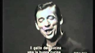 Yves Montand Le Chat de La voisine English subtitles [upl. by Yecaj]