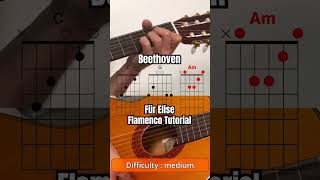 Beethoven  Für Elise Flamenco version guitar tutorial [upl. by Adamsen]