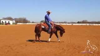 Reining Training  Fundamentals to Reining [upl. by Neilson]