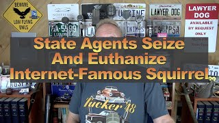 State Agents Seize And Euthanize InternetFamous Squirrel [upl. by Jordana]