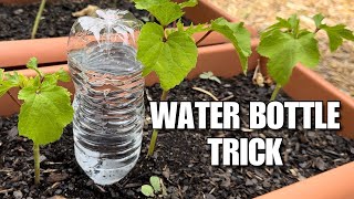 How to Water Your Garden While On Vacation  DIY Drip Irrigation [upl. by Bik79]