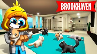 Nieuw GEHEIME DIERENWINKEL In Brookhaven Roblox [upl. by Ida]