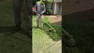 Taking down and edging this liriope muscari 🌾🌾🌾 foryou youtubeshorts satisfying fyp fypage [upl. by Sanderson222]