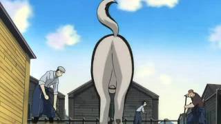 Fullmetal Alchemist Best of Black Hayate dog [upl. by Mosby]