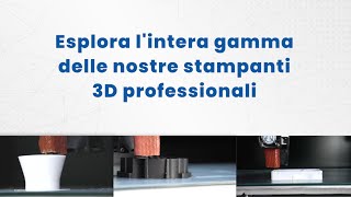 Esplora la gamma di Stampanti 3D 🇮🇹 3DPRN 🇮🇹 3DPRN Stampanti 3D professionali [upl. by Fennessy268]