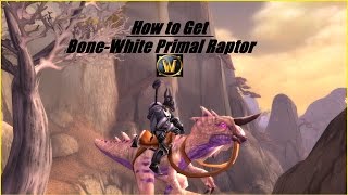 How To Guide BoneWhite Primal Raptor Mount WoW [upl. by Sirrah]