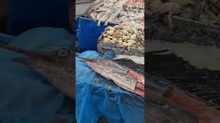 Targ rybny Egipt Hurgada homar seafood owocemorza fish egypt [upl. by Anwad]