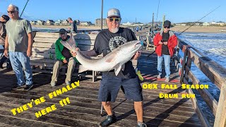 Avon Pier  Fishing For Bull Red Drum OBX [upl. by Nalor]