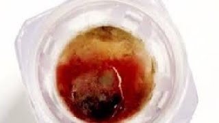 Holy Week EUCHARISTIC MIRACLE Video of BLEEDING HOST amp Priests Account Like LIVE HEART TISSUE [upl. by Luedtke]