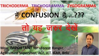 Trichoderma हो या Trichogramma या फिर Zygogramma अब CONFUSION नहीं होगा [upl. by Anahsek704]