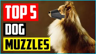 Top 5 Best Dog Muzzles to Prevent Biting of 2023 Review [upl. by Savitt]