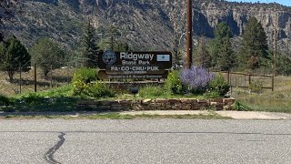 Fly Fishing  Uncompahgre River [upl. by Cypro]