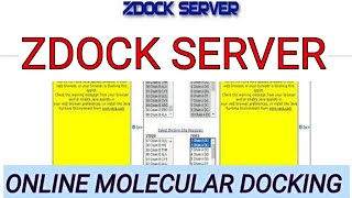 Zdock server ll Molecular docking online ll xgene and proteinx [upl. by Chiang]