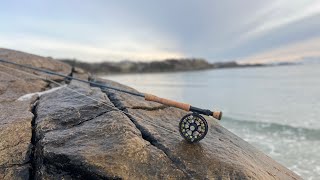 Sjøørret  Seatrout Fishing In Norway Exploring new places [upl. by Ahsemak]