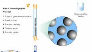 Column Chromatography [upl. by Saretta]