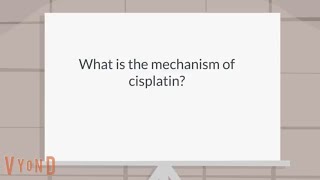 What is the mechanism of cisplatin [upl. by Enautna]