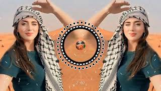 Arabic Remix Song 2023  Arabic Song  Slowed Reverb  Bass Boosted  slowedandreverb arabicmusicw [upl. by Ahsinehs26]